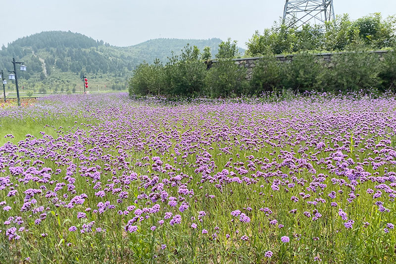 生態(tài)河道治理